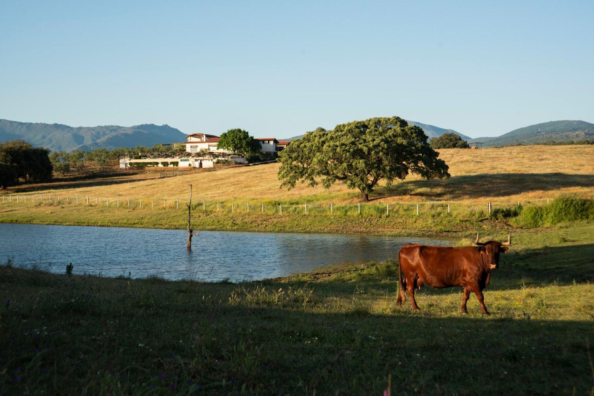 Habitat Cigueena Negra Valverde del Fresno Exterior foto